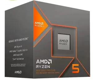 R5-8600G